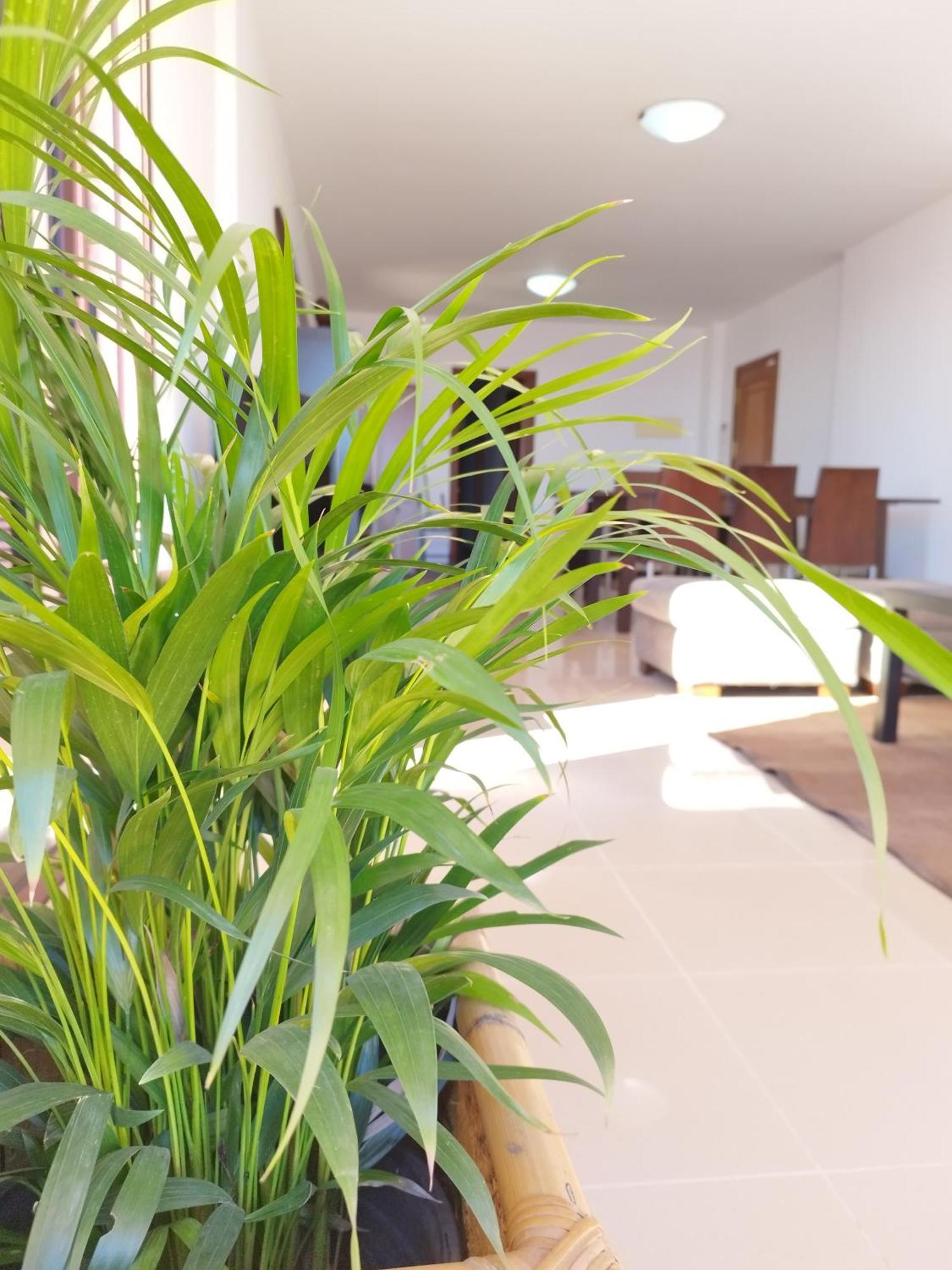 Vivienda Vacacional Compartida Radazul Bed and Breakfast Eksteriør billede